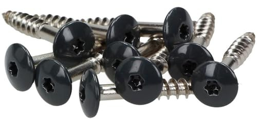 Meister Ling® – Tornillos de fachada 5,5 x 35 mm en V4a. Acero Inoxidable/Inox, de cabeza plaza con colores esmaltados y grabación Torx T-20 (100 unidades, incluye 1 broca) V4a, gris