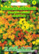 Starfire Mixed Fleur d'étudiant basTagetes tenuifolia