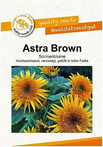 Blumensamen Astra Brown F1 Sonnenblume Portion