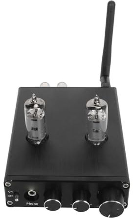 Amplificateur à Tube, 100‑240V 5.1 Amplificateur à Tube HiFi Double Entrée 2 Canaux pour la Maison (Prise UE Tube électronique 6K4)