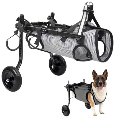 Kleiner Hunderollstuhl hinterbeine, Hunderollstuhl für Hinterbeine, Hund/Katze/Haustier-Rollstuhl, Unterstützt die Heilung, Hundewagen/Rollstuhl für Verletzte & Schwäche der Hinterbeine (Größe M)