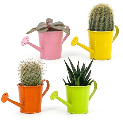 Vimin Box Lot de 4 mini arrosoir, pot décoratif, pour plantes succulentes, petites fleurs, décoration maison, jardin, balcon