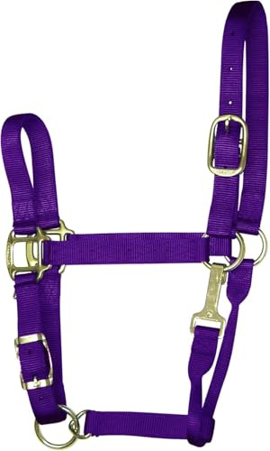 Hamilton Quality Adjustable Horse Halter, 1100-1600 lbs, Purple