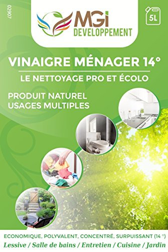 MGI DEVELOPPEMENT - Vinagre blanco, de 14º, 5 L, para limpiar, desengrasar y descalcificar, de calidad profesional
