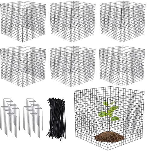 Kleine Draht-Pflanzenschützer, 6 Stück, quadratische Pflanzenschutz vor Tieren, Netz-Pflanzenkäfig, Hühnerdraht-Abdeckung zum Schutz von Pflanzen, Garten, Sträuchern und Gemüse vor Tieren (30,5 x 30,5