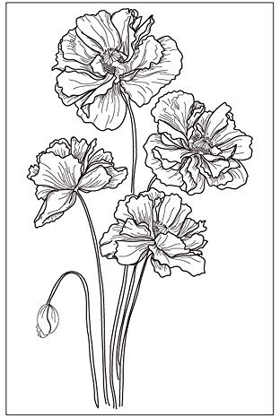 arriettycraft Stempel mit Blumen, Mohnblumen, Gummi, für Scrapbook/Fotoalbum, dekorative Kartengestaltung, transparent
