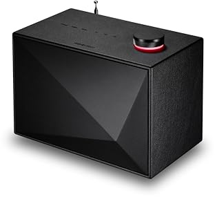 Astell & Kern Acro BE100 Haut-Parleur Bluetooth Noir