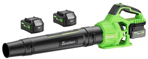 Leaf Blower Cordless with 2 x 3.0Ah Battery and Charger, 680CFM 260MPH Electric Blower with 2 Speeds, 20V Handheld Leaf Cleaner for Lawn Care, Blowing Leaves, Dust, Snow, Gravel for Patio, Yard, Green
