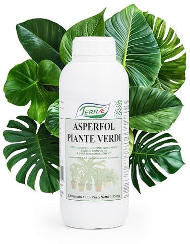 TERRAÉ Concime Piante Verdi da Interno ed Esterno | Fertilizzante Piante Verdi 1L per Crescita Rigogliosa e Foglie Brillanti | Concime Liquido NPK con Microelementi per Piante di Casa, Giardino, Orto