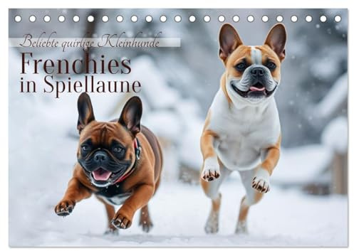 Frenchies in Spiellaune (Tischkalender 2026 DIN A5 quer), CALVENDO Monatskalender: Beliebte quirlige Kleinhunde (CALVENDO Tiere)