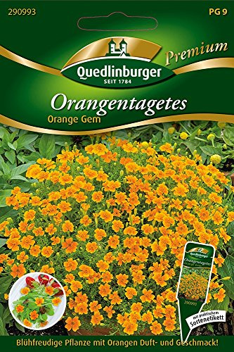 Orangen-Tagetes Orange von Quedlinburger Saatgut