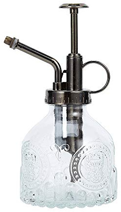 Ebristar Glas-Pflanzen-Sprühflasche, 16,5 cm hoch, Vintage-Pflanzen-Spritzer-Gießkanne, Sukkulenten-Bewässerungsflasche mit oberer Pumpe, kleiner Pflanzensprüher für Innen- und Außenbereich,