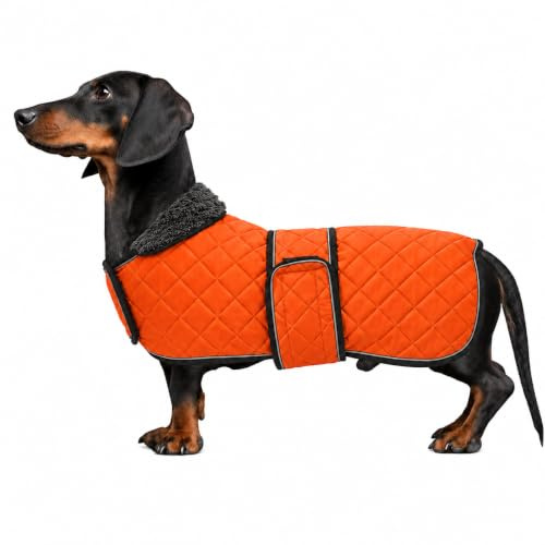 MOREZI Hundemantel Winter für Dackel - Wasserdichter Hunde Pullover mit Wolle Futter & Verstellbaren Gurten, Warmer Wintermantel für Kleine Hunde im Freien-Orange-L