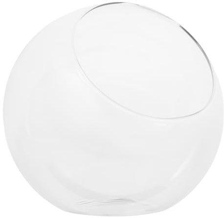 Warmhm Glas Terrarium Behälter Schräge Öffnung 15cm Glasvase für Sukkulenten Mikrolandschaft Pflanzgefäß Dekoration Büro Zuhause