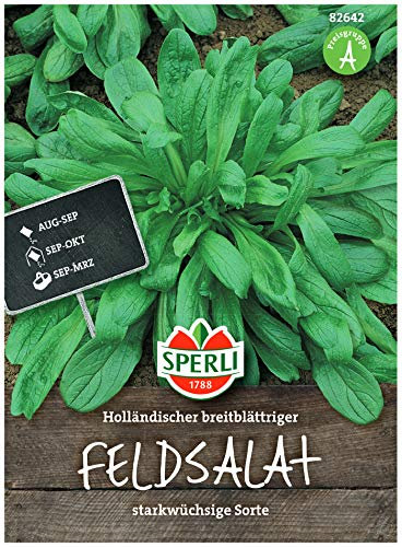 Premium Feldsalat Holländischer Breitblättriger | Frostharte Sorte | Großblättrig Vitaminreich und Schnellwüchsig | Aussaat bis Oktober | Samenfeste Feldsalat Samen