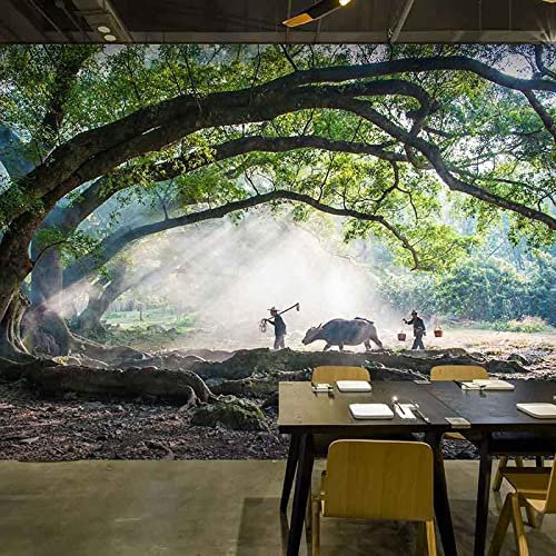 Vlies Fototapete Nebelbäume Landschaft 3D Effekt Vlies Tapeten Wandtapete XXL Moderne Wanddeko Wohnzimmer Schlafzimmer Büro Flur 350 cm B x256 cm H