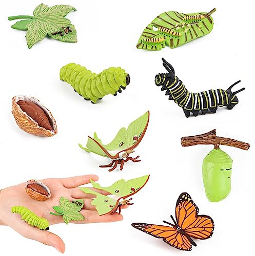 Encuryna 8 Stück Lebenszyklus Figuren von Insekten, 4 Stück Schmetterling und 4 Stück Motte Lebenszyklus Spielzeugfiguren, Tierlebens Wachstumszyklus Modell Realistische Kunststoff Insektenkäfer