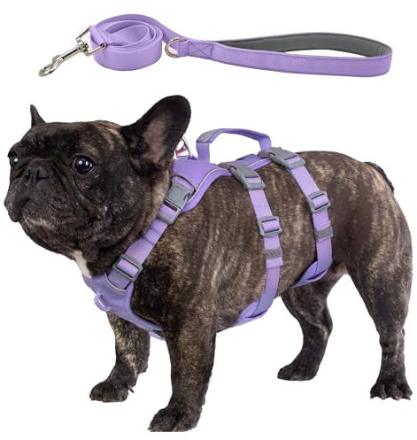 Wuffley Hundegeschirr mit Leine, Sicherheitsgeschirr Hund Ausbruchsicher, Anti Zug Hundegeschirr mit Assistenzgriff und Reflektierende, Leichtes Verstellbare Geschirr für Mittelgroße Hunde (Lila,M)