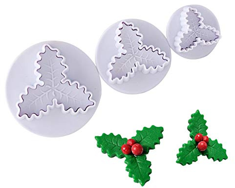 Set di Formine per Biscotti Natalizi con Foglie di Agrifoglio, Set di Fondente per Biscotti Natalizi 3D, per Cuocere Al Forno e Decorazioni per Torte (Come mostrato)