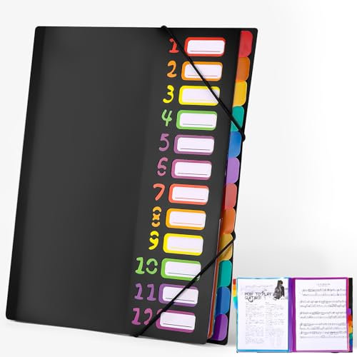 Dokumentenmappe A4,Tragbar Fächermappe mit 12 Fächern,Mit Etiketten,Ordner Organizer,Fächermappe A4,PP Kunststoff Ordnungsmappe Pultordner mit Gummizug,Wasserdicht,für Schule Bürobedarf