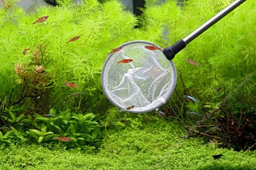 NatureHolic Aquarium Kescher klein & weiß - Teleskop | Aquarium Zubehör Garnelenkescher aus rostfreiem Edelstahl | Kleiner Aquarienkescher für Garnelen, Schnecken & kleine Fische | Rund
