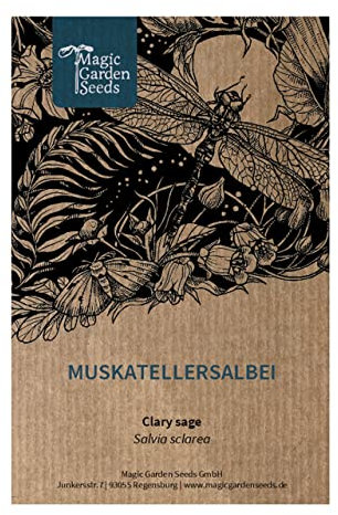 Erba moscatella (Salvia sclarea) - circa 100 semi