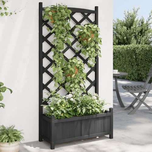 HaoChrymec Fioriera con Traliccio, Vaso per Piante Rampicanti in Legno di Abete Massello, Fioriera da Esterno con Grigliato per Rose e Edera, Ideale per Balcone e Giardino