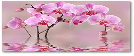 Tulup Glas-Bild Wandbild aus Glas - Wandkunst - Wandbild hinter gehärtetem Sicherheitsglas - Dekorative Wand für Küche & Wohnzimmer 125x50 - Blumen & Pflanzen - Rosa Orchidee - Rosa