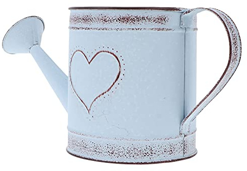 Happyyami Gießkanne Deko Metall Vintage Blumentopf Für Zuhause Indoor Outdoor Tischdekoration Rustikale Vase Für Balkon Garten Heimwerkergarten 27.00 X 12.00 X 13.00 cm