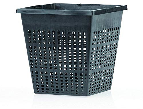 OASE 53754 Panier à plantes carré 11