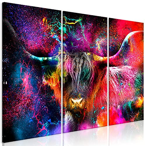 murando HandArt Bilder auf Leinwand Tier 3 tlg Leinwandbild Wandbilder Wohnzimmer Wanddekoration Moderne Kunst - Highland Kuh bunt Farbflecken Abstrakt g-C-0335-b-e