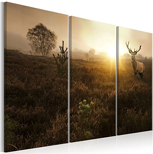 murando - Akustikbild Hirsch Bilder Akustikschaum Hochleistungsschallabsorber Schallschutz Leinwand 3 tlg Wandbild Raumakustik Schalldämmung g-B-0051-b-f