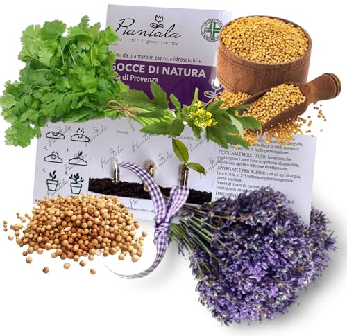 KIT SEMI PIANTABILI in BLISTER da 3 capsule (ARIA DI PROVENZA: lavanda, senape, coriando)