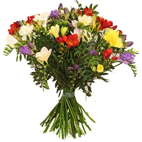 Flora Trans- Blumenstrauß mit frischen Freesien -Blütenduft - Geburtstag - Lieferung innerhalb 1-2 Werktage