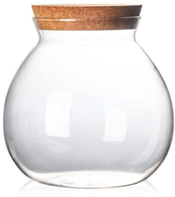 VASANA 1 x 500 ml leere durchsichtige Glasverpackung, Aufbewahrungsbehälter, rund, große Kapazität, versiegelte Flasche mit Holzkorken für Zuhause, Küche, Gewürze, Essen, Snacks, Tee und mehr.