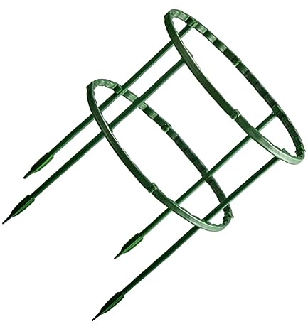 EPIGEIST Climbing Plant Support Bracket 4 Straight Rods and 8 Curved Rods 25cm Double-layer Crab Cactus and Green Plant Holder for Indoor and Outdoor Use