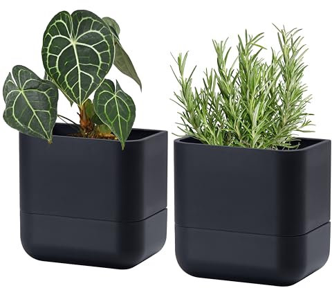 Phoenix Vine 01-WP-B-2 Lot de 2 pots de fleurs muraux à auto-arrosage pour plantes d'intérieur et herbes aromatiques | Pot de fleurs moderne à suspendre pour rebords de fenêtre, murs de salle de bain,