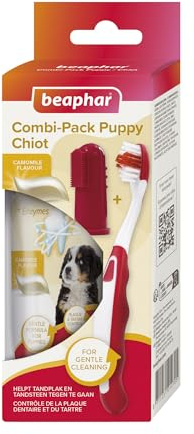 BEAPHAR – COMBI-PACK CHIOT : Dentifrice Chiot + 1 Brosse à dents + 1 Brosse doigtier – Combat plaque dentaire, tartre et mauvaise haleine – Adapté aux dents du chiot – Goût camomille – Tube de 50 g