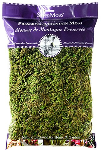 SuperMoss (23802) Mountain Moss Preserved, Fresh Green, 8 Ounces