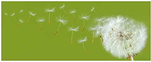 Wallario Glasbild Pusteblume auf der Wiese mit fliegenden Samen - 50 x 125 cm Wandbilder Glas in Premium-Qualität: Brillante Farben, freischwebende Optik