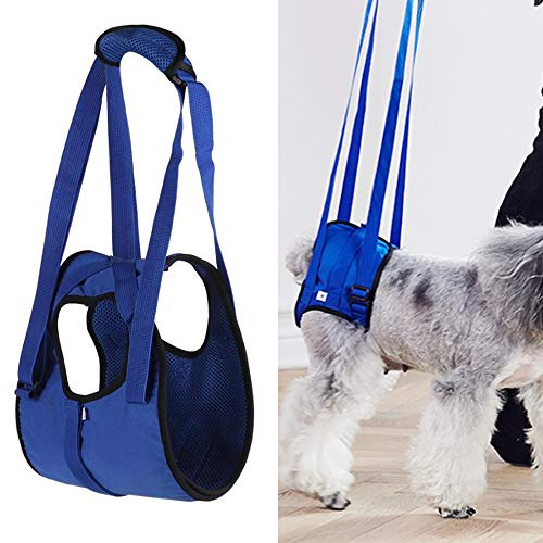 PJDDP Hunde Tragehilfe Hundegeschirr Gehhilfe,Dog Lift-Auffanggurt,Atmungsaktiv Hunde Rehahilfe Hund Rehabilitation Hilfsgeschirr Aufstehen Stützgurt Für Hinterbeine des Hundes,Blau,S
