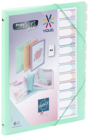 Viquel - Propysoft Organizer mit 12 Fächern, A4, anpassbar, Gummibandverschluss, Grün transparent