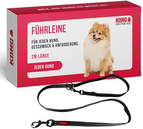 KONG robuste Hundeleine aus Nylon I schwarz I dreifach verstellbare Leine Hund I hochwertige Hundeführleine mit reflektierenden Elementen I Führleine Hund I Länge: 2 m I Breite: 25 mm