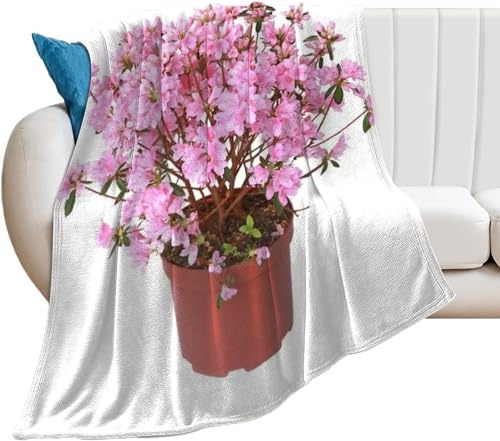 Buohwiwe Rhododendron Blanket Pink Flower Throw Blanket Fluffy Fleece Blanket Potted Plant 3D Printing Warm Large Flannel Blankets 150x200 cm Super Soft Cozy for Travel Couch Sofa Bed 4546y