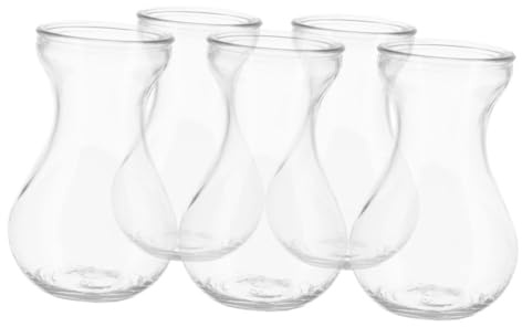 Vase à Jacinthe en Verre 5 Pièces, Fond Plat Simple pour Décoration