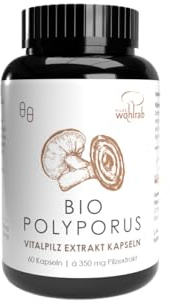 Pilze Wohlrab - BIO Polyporus Extrakt Kapseln - 1 Dose - 60 Kapseln, 350 mg reines Pilz Extrakt je Kapsel, Vitalpilze Extrakt - Vitamin C Acerola