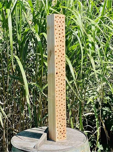 DARLUX Wildbienen - Insektenhotel XL Nisthilfe Stamm Naturbelassen 900 mm Bienenhotel Insektenhotel Wildbienen Massivholz Hartholz Wildbienenhotel