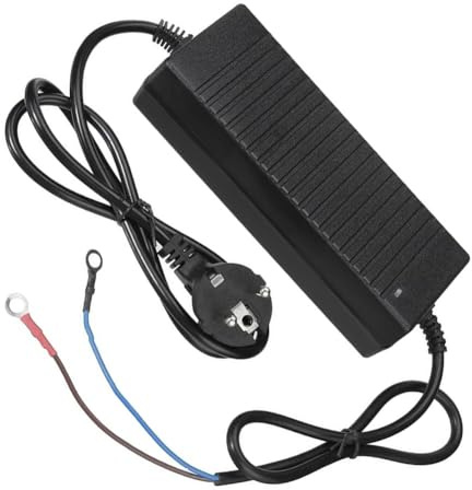 Wodsty 12V 10A Voltage Converter, 100-240V AC to DC Power Supply Adapter with Overload Protection for Automotive and Home Decoration Applications