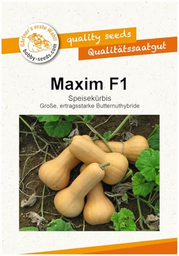 Maxim F1 Kürbissamen von Bobby-Seeds, Portion
