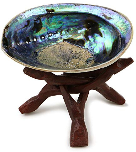 Ocean Shell Studios 5-6 inches Premium Natural Abalone (Pāua) Shell with Wooden Stand for Smudging, Cleansing Home, Meditation, Shell Crafts,Incense Holder, Home Décor, 100% Natural, Sustainable.